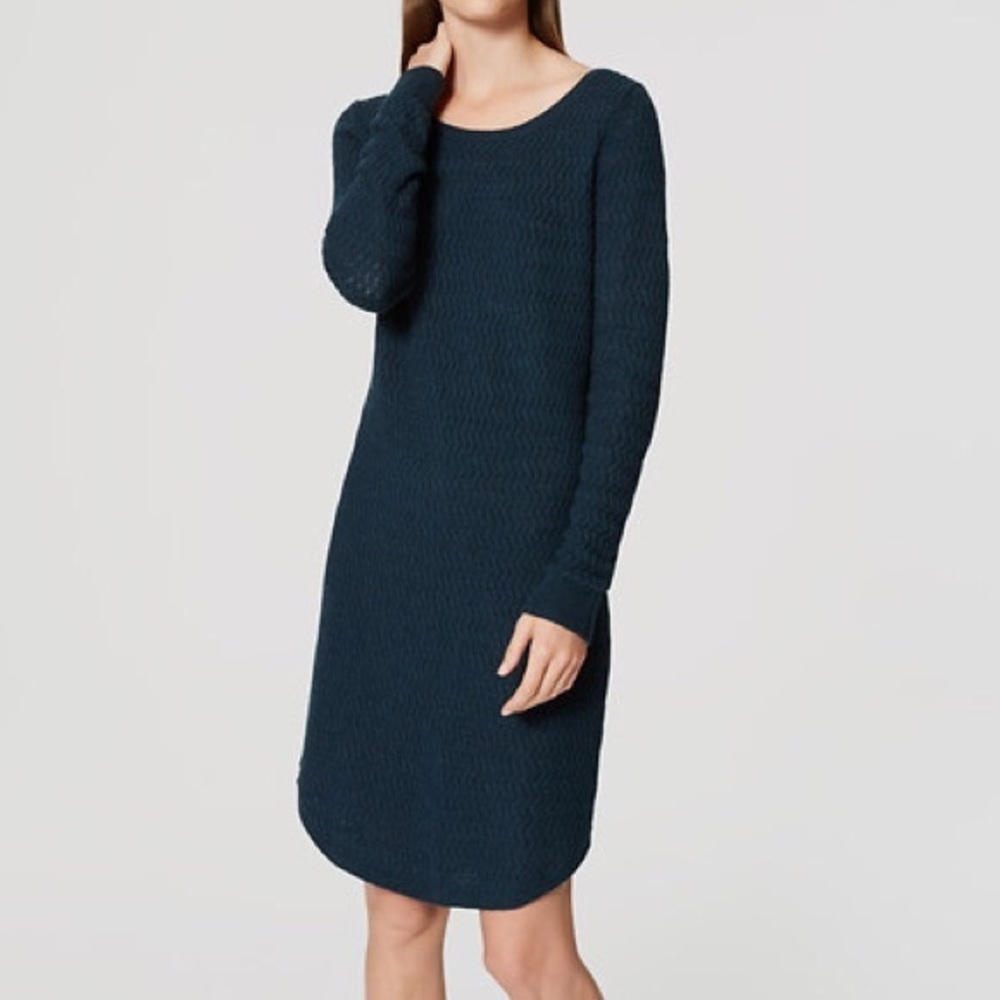 Ann Taylor LOFT Dark Green Sweater Dress